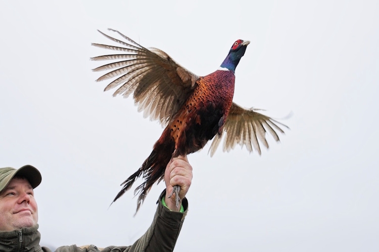 ОДРЖАН ЛОВНО-КИНОЛОШКИ КУП ЛОВАЧКОГ САВЕЗА ВОЈВОДИНЕ У ВРШЦУ...